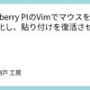 Raspberry PIのVimでマウスを完全無効化し、貼り付けを復活させる方法