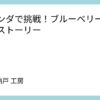 ベランダで挑戦！ブルーベリー育て直しストーリー