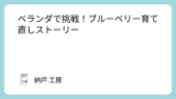 ベランダで挑戦!ブルーベリー育て直しストーリー